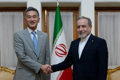 دیدار خداحافظی سفیر ژاپن در ایران با عراقچی