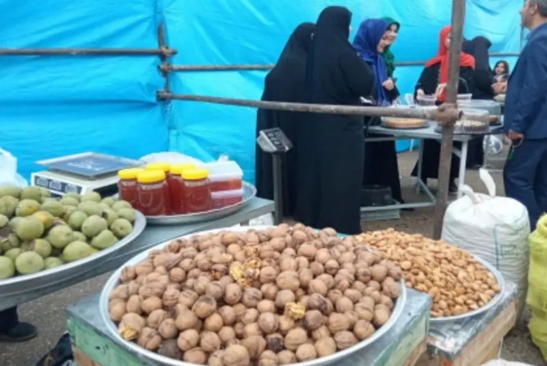 از برگزاری جشنوارههای غذایی تا ادعای برندسازی گردشگری در زنجان | انصاف نیوز