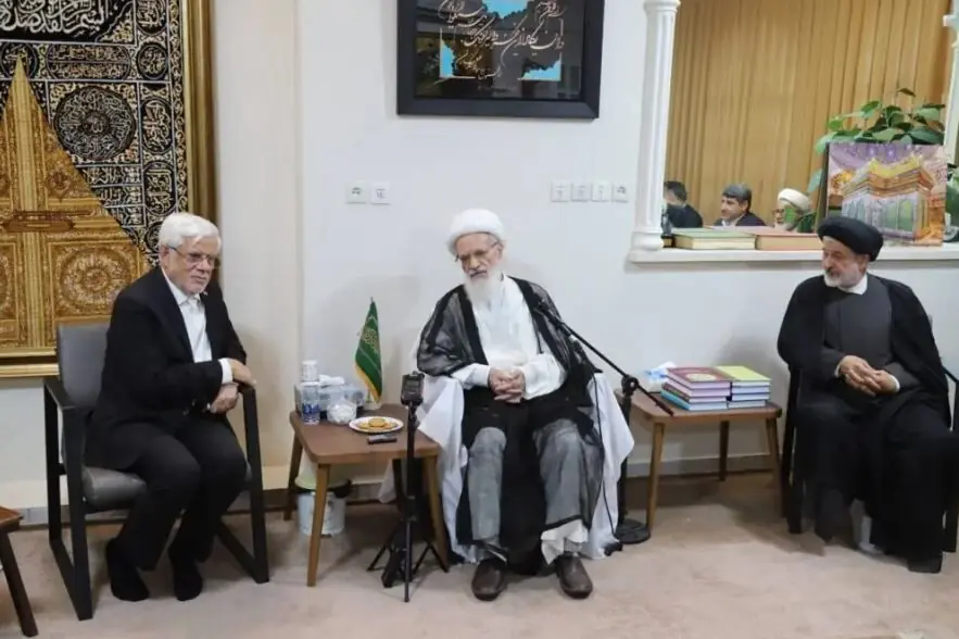 توصیههای آیتالله بیات زنجانی به محمدرضا عارف: دولت زخم دیماه را ترمیم کند