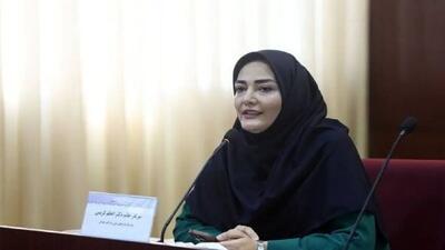سامانه تسهیلات اشتغالزایی جوانان رونمایی شد