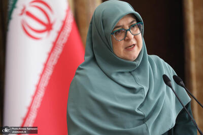 فاطمه مهاجرانی: هدفگذاری دولت برای کاهش ۲۰ درصدی مصرف انرژی در زمستان