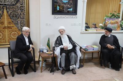  آیت‌الله ‌بیات‌زنجانی در دیدار عارف: دولت زخم دی‌ماه را ترمیم کند/ حصر مهندس موسوی در این دولت باید پایان یابد/ در زمان جنگ همه موظف به حمایت از دولت هستند