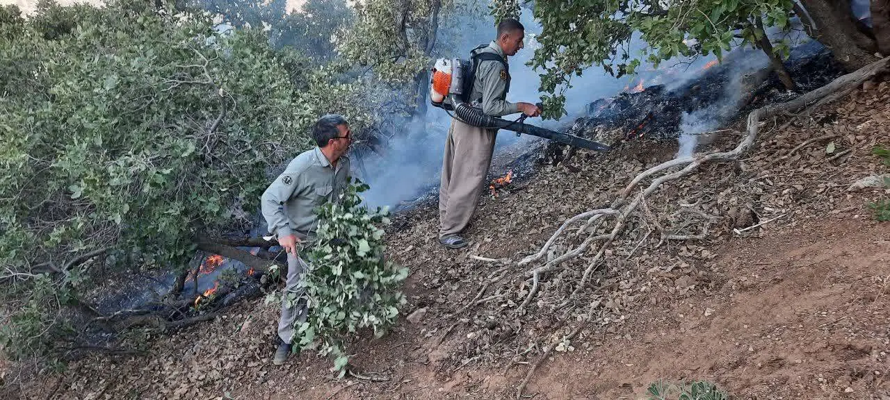 محیطبانان کرمانشاه در خط آتش