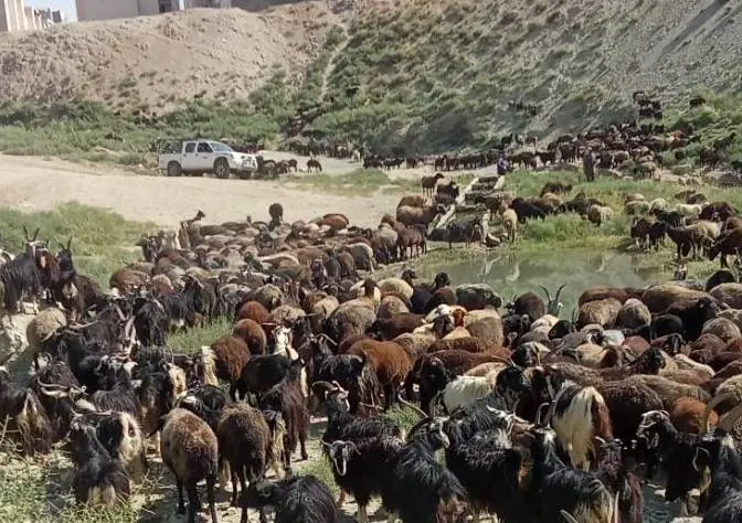  حفاظت از تنگه کبود جاجرود