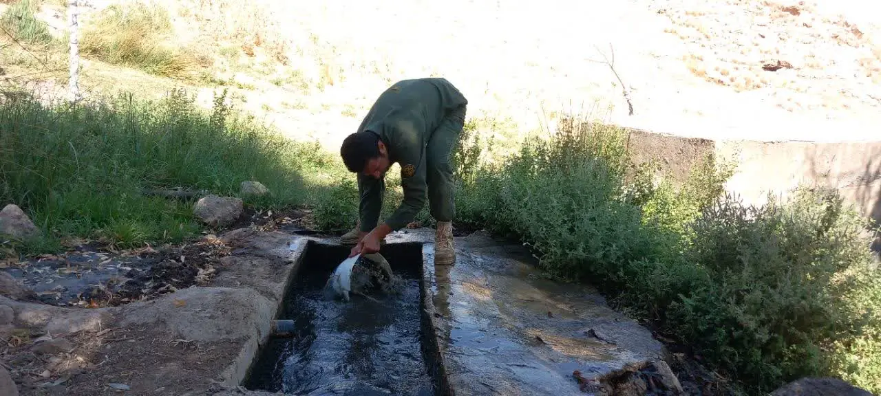  تأمین آب سالم برای جانوران