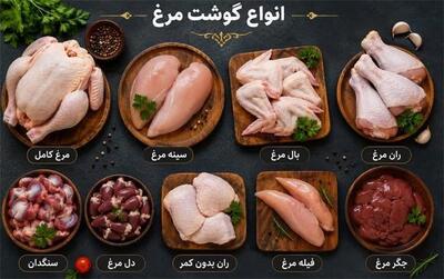  قیمت مرغ امروز سه‌شنبه ۱۷ شهریور ۱۴۰۵؛ فیله مرغ صدرنشین بازار شد!