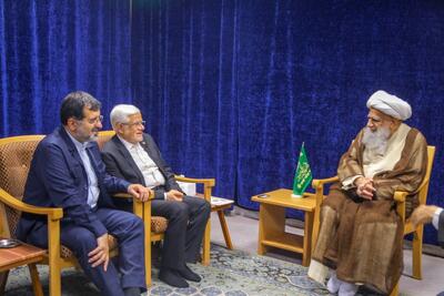 گزارش تصویری: دیدار محمدرضا عارف با حضرت آیت الله کریمی جهرمی