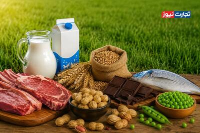 اینفوگرافی | تولید کدام مواد غذایی زمین بیشتری اشغال میکند؟