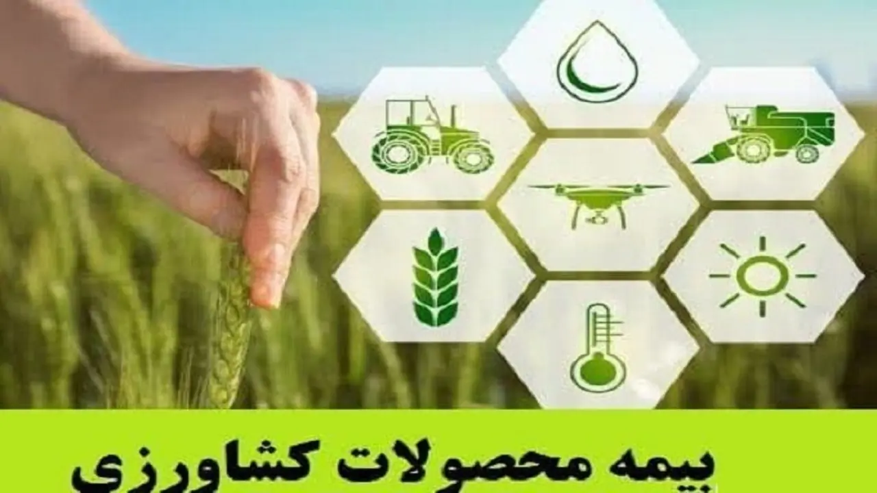 تقویت بیمه کشاورزی، گامی مؤثر در مدیریت ریسک و پایداری تولید