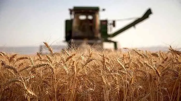 آقای وزیر! بجای فقر میخواهید فقراااا را ریشهکن کنید