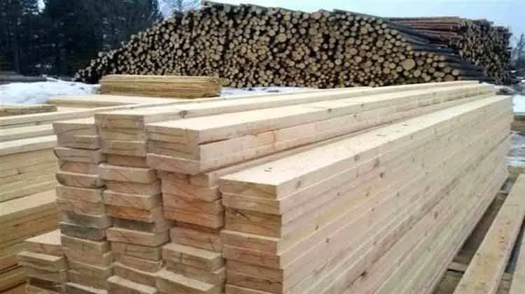 چالش بازار چوب در تامین مواد اولیه/ بازار بازیچه دلالان شد