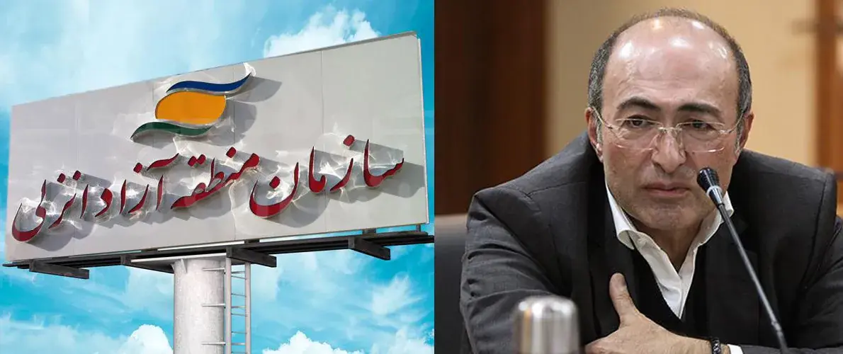 آقای ایران خودرو: اگر واردات بیضابطه، مورفین است، انحصار هم داروی درمان نیست
