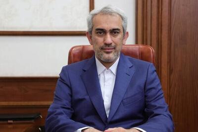 ورود وزیر اقتصاد به هند؛ دیپلماسی اقتصادی ایران در مسیر بریکس 