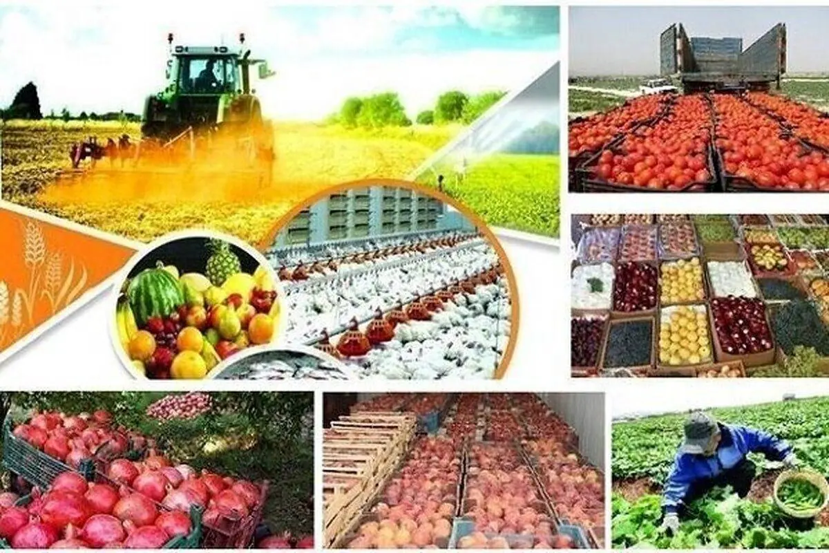  جهش ۲۰۸ درصدی حجم سرمایه‌گذاری در بخش کشاورزی خوزستان طی بهار