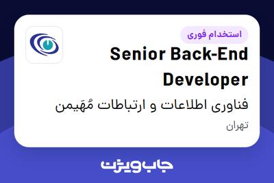 استخدام Senior Back-End Developer در فناوری اطلاعات و ارتباطات مُهَیمن
