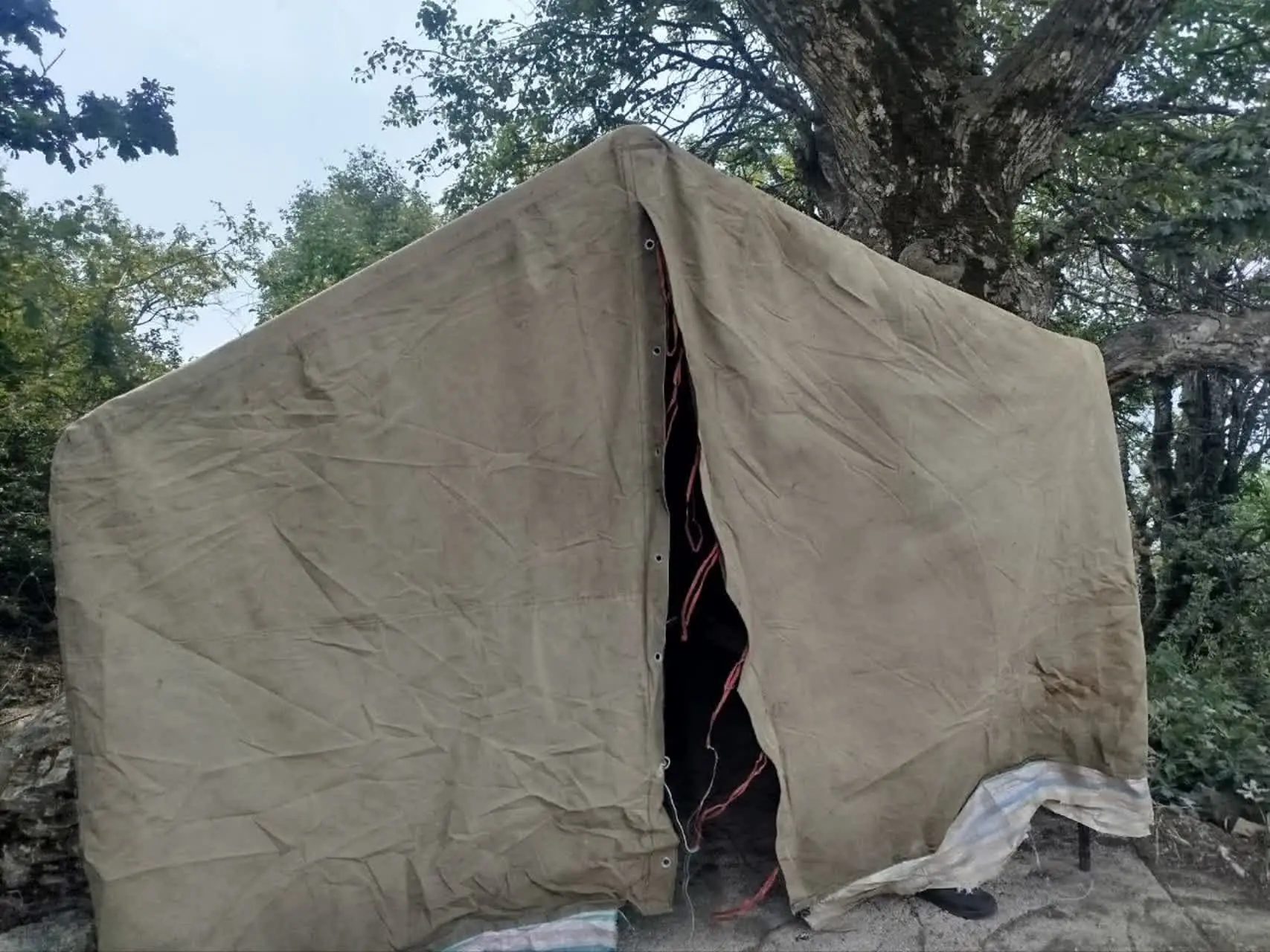 پایش گاوبانگی در گلستان