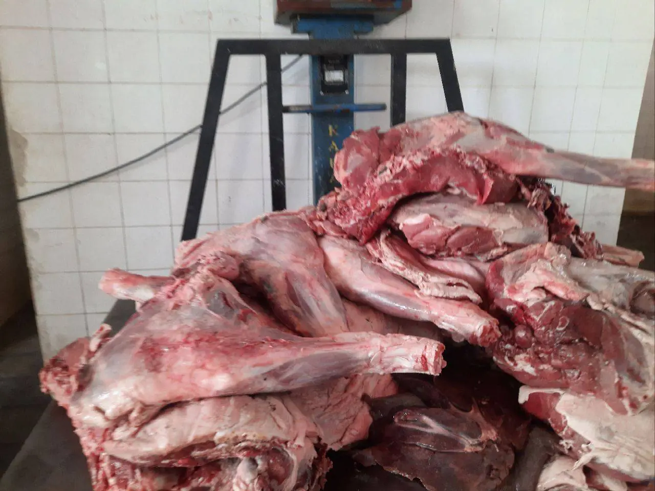 کشف لاشه گراز در دیواندره