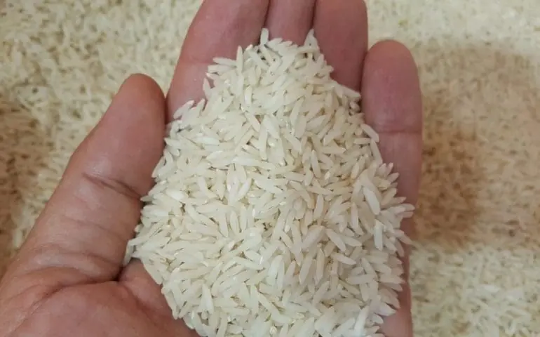 سخنگوی گمرک: واردات برنج ۳۴ درصد افزایش یافت