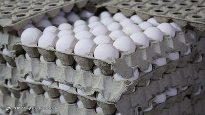  در هفته چندتا تخم مرغ بخوریم؟