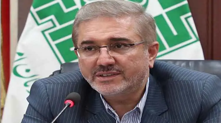 همکاری سازمان مالیاتی و پلیس امنیت اقتصادی برای پیگیری جرایم مالیاتی