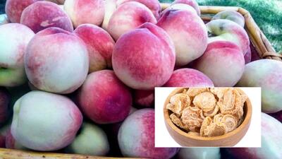  برگه شفتالو؛ گنجینه ای از خواص بی نظیر برای سلامت بدن