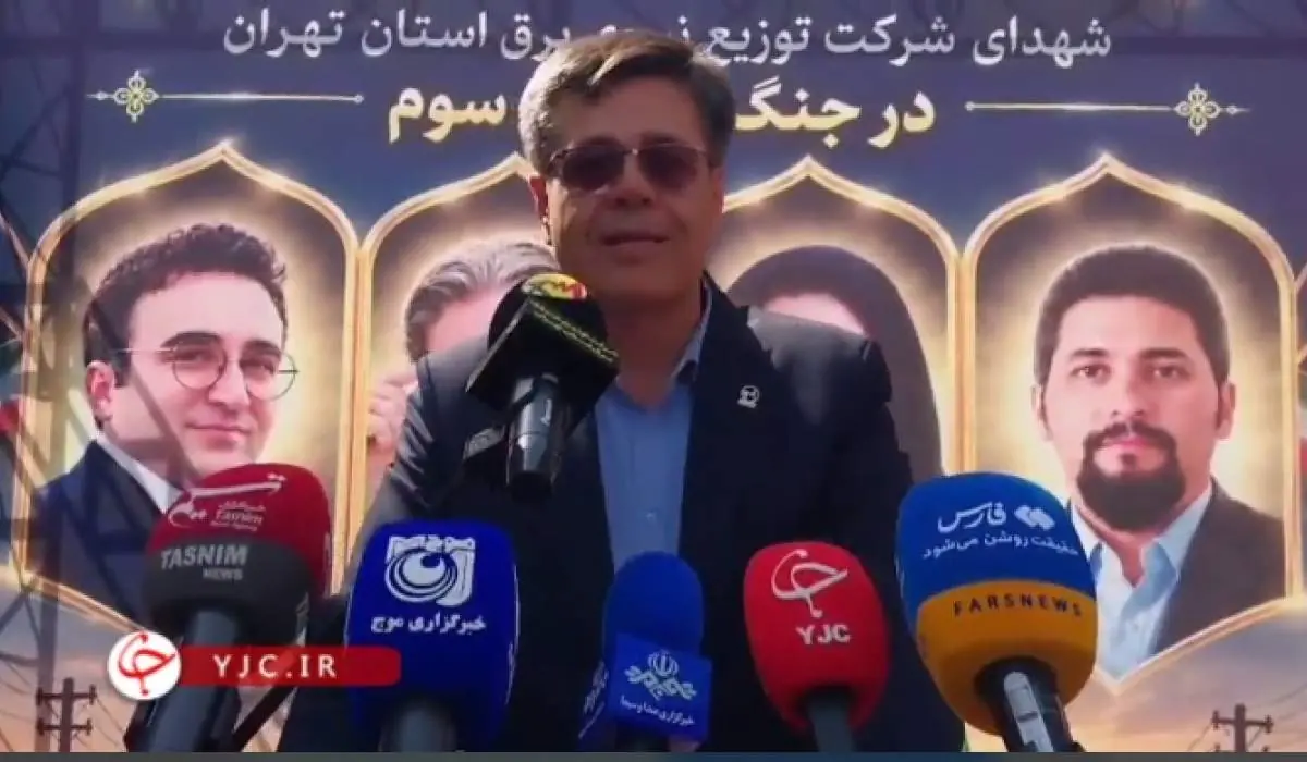 مدیرعامل توانیر: پتروشیمیها به فکر واردات برق باشند | نفت ما