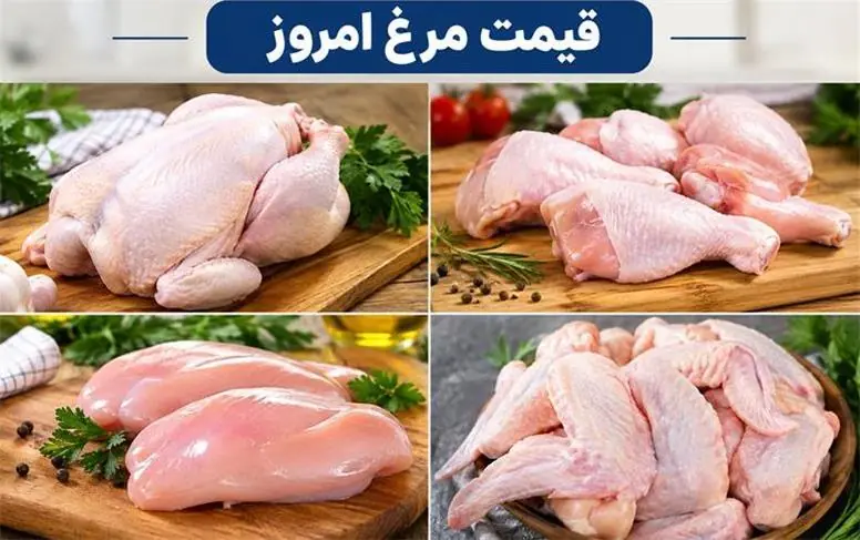 قیمت انواع مرغ و تخممرغ امروز پنجشنبه ۱۹ شهریور ۱۴۰۵؛ مرغ ارزان شد، تخممرغ گران