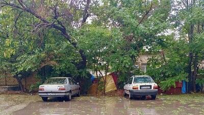 رگبار باران در ۱۴ استان طی امروز/ ادامه بارشها تا ۴ روز آینده