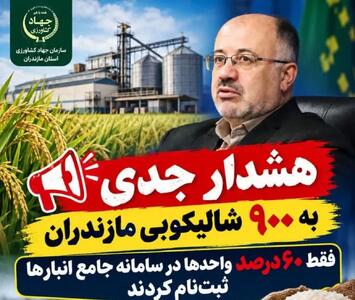 هشدار جدی به ۹۰۰ شالیکوبی مازندران / فقط ۶۰ درصد واحدها در سامانه جامع انبارها ثبتنام کردند