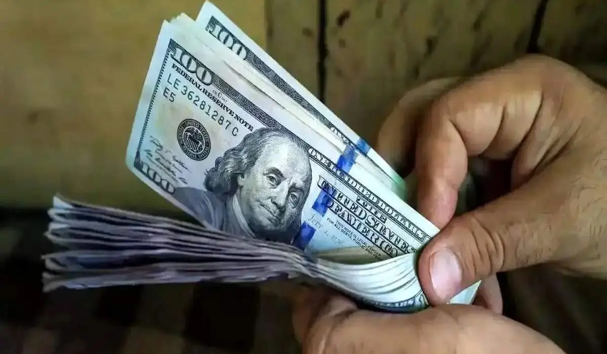 قیمت دلار، یورو و سایر ارزها امروز شنبه ۲۱ شهریور ۱۴۰۵ | نفت ما