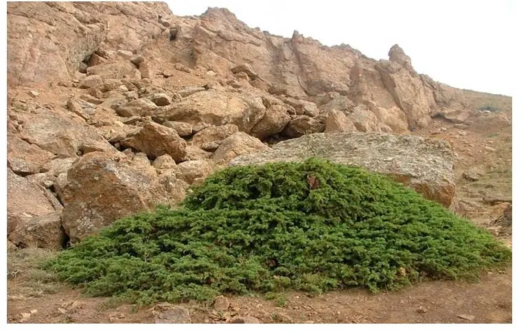شناسنامه ۴۰ غار در اردبیل