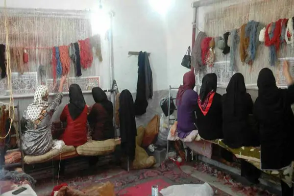 یارانه ۷۰ درصدی بیمه فرش