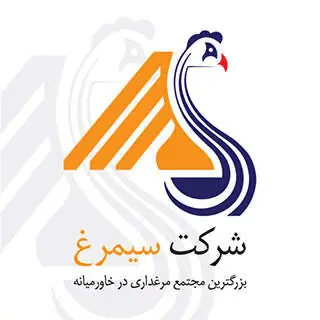 سیمرغ گزارش ۶ ماهه منتشر کرد