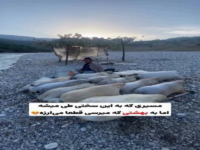 آبشار زردلیمه معروف به نیگارای ایران | آخرین خبر