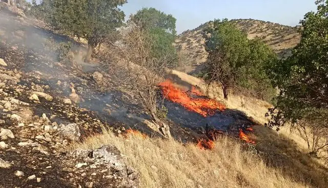 آتشسوزی جنگلهای ماهور میلاتی ممسنی