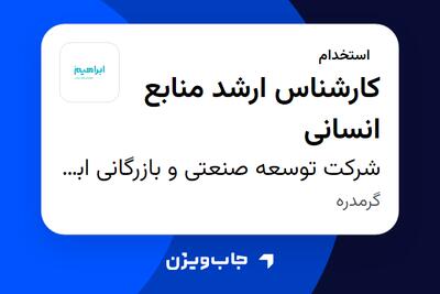  استخدام کارشناس ارشد منابع انسانی - خانم در شرکت توسعه صنعتی و بازرگانی ابراهیم