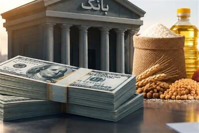  تسهیلات ارزی برای واردات کالای اساسی؛منابع بانک‌ها ازکجا تأمین می‌شود؟ - تسنیم