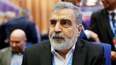  کمالوندی: ممانعت آمریکا از حضور ایران در نشست آژانس، مخرب و کودکانه است