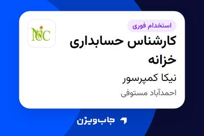  استخدام کارشناس حسابداری خزانه در نیکا کمپرسور