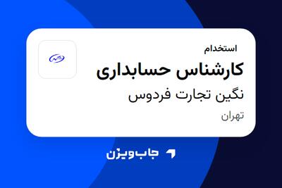  استخدام کارشناس حسابداری در نگین تجارت فردوس