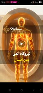 نیروگاه اتمی بدن انسان