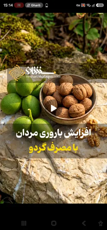  افزایش باروری مردان با مصرف گردو