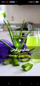 معکوس کردن روند پیری پوست