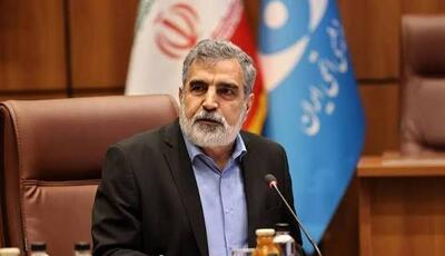  اظهارات کمالوندی در کنفرانس عمومی آژانس بین‌المللی انرژی اتمی | آخرین خبر