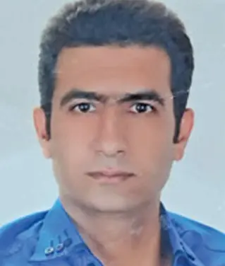  سیاست و تلاش برای بهبودی