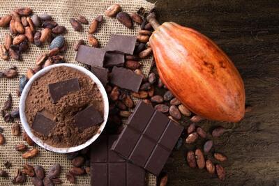 همه چیز درباره خواص کاکائو برای مردان و زنان + نکات مصرف و موارد احتیاط