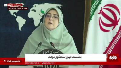 ببینید | واکنش سخنگوی دولت به تحریم صنعت هوانوردی ایران از سوی آمریکا