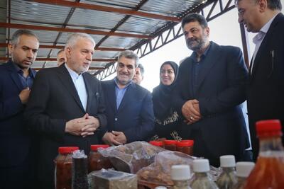 بازدید وزیر میراث فرهنگی از پاده آرادان؛ روستای چندصدساله همجوار جاده ابریشم