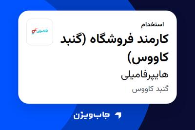  استخدام کارمند فروشگاه (گنبد کاووس) در هایپرفامیلی