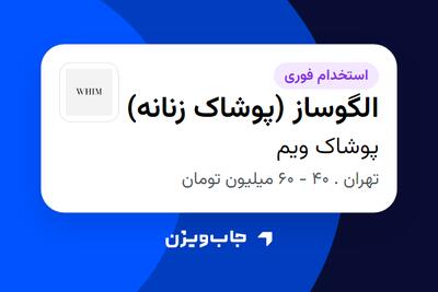 استخدام الگوساز (پوشاک زنانه) در پوشاک ویم